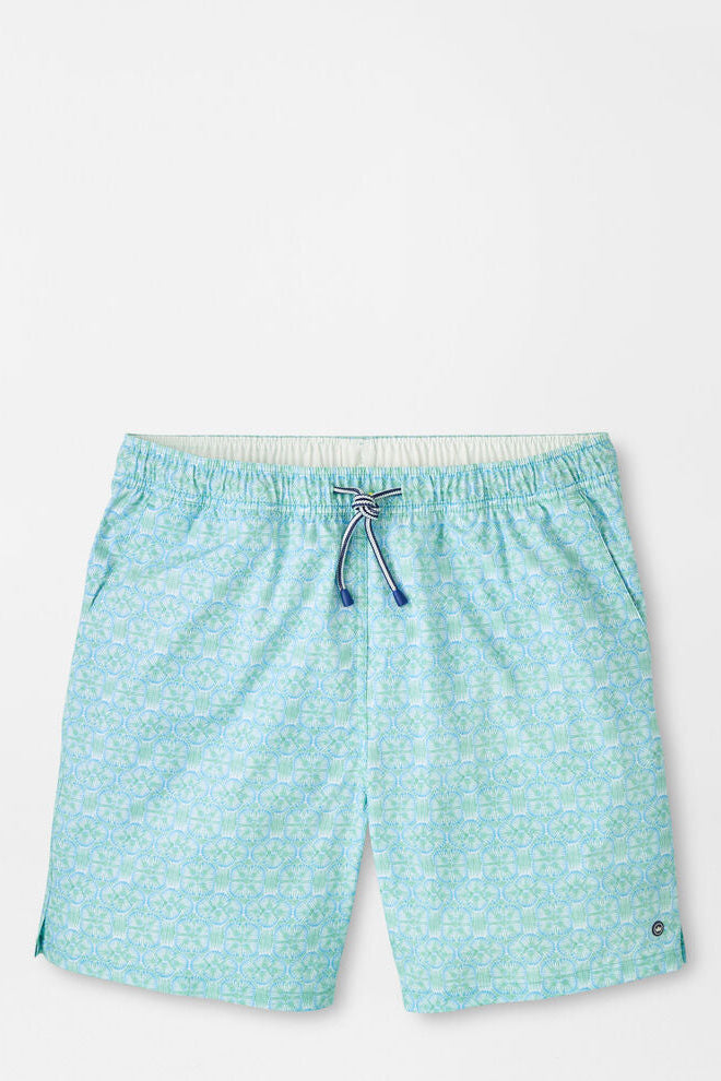 Light blue patterned shorts on a white background