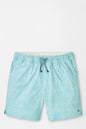 Light blue patterned shorts on a white background