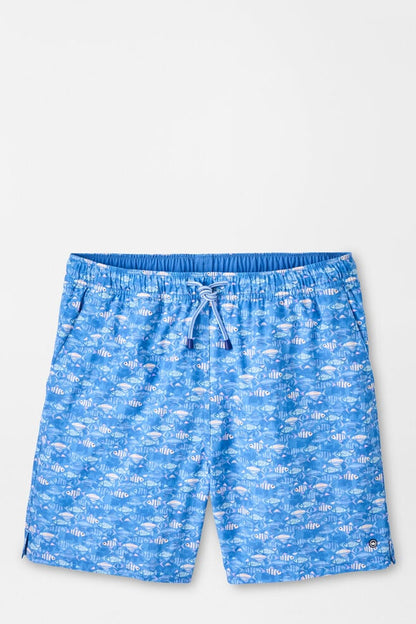 Blue shorts with a pattern on a light gray background